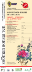 manifesto bonsai 03 2017_cs4 200317.png