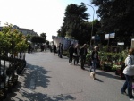 IMG_20170423_095340.jpeg