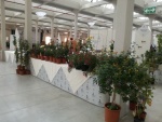 IMG-20170930-WA0005.jpg