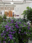 IMG-20170930-WA0009.jpg