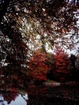 IMG-20171105-WA0016.jpeg